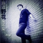 路边野花采不采(单曲)