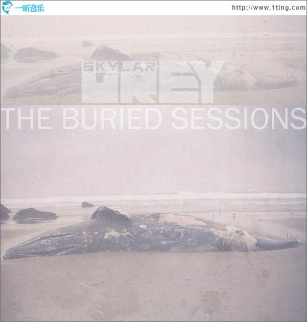 The Buried Sessions of Skylar Grey（EP）