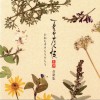 动漫原声 妖光の月に ~夏目友人帳 参 のテーマ 试听