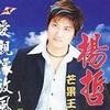 扬哲 爱你袂后悔 试听