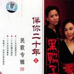 伴你二十年⑥民歌专辑
