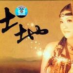 土地详情