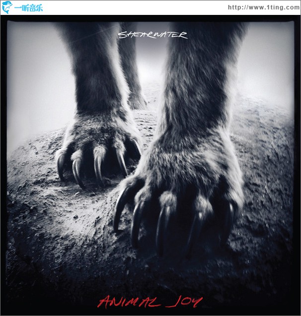 Animal Joy