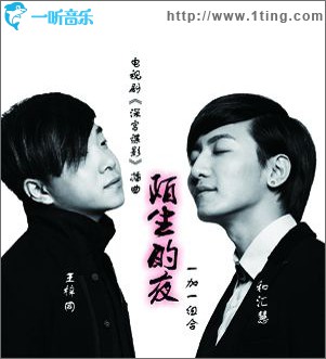 陌生的夜(单曲)