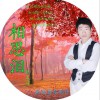 杂锦合辑7 相思泪 - 张文达 试听