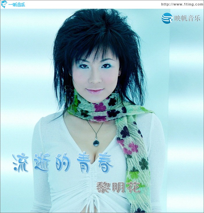 流逝的青春(单曲)