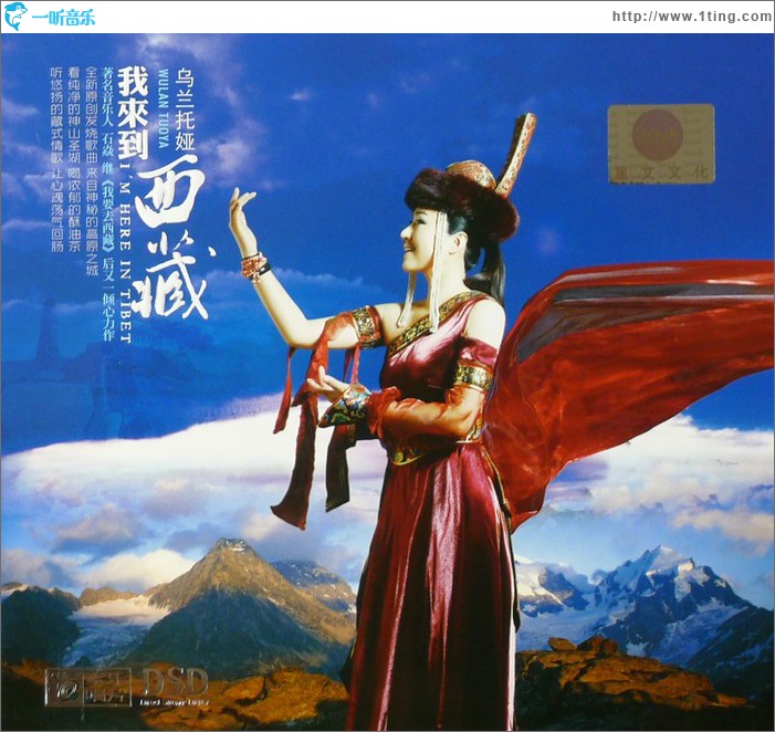 我来到西藏