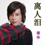 离人泪(单曲)详情
