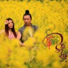 安与骑兵 红山果 试听