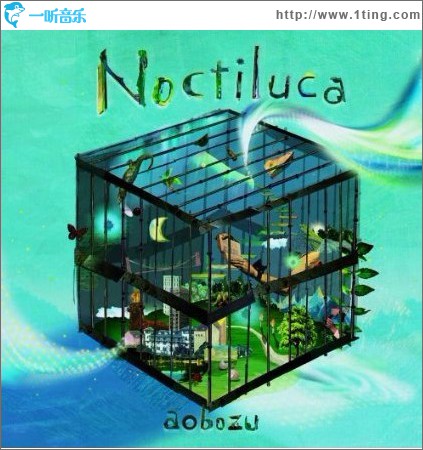 ノクティルカ