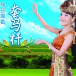 套马杆