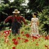 Radwimps 有心論 试听