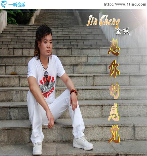 想你的感觉(单曲)
