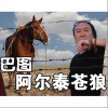 阿尔泰苍狼(单曲)