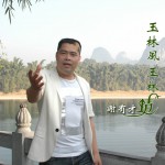 玉林风 玉林情(单曲)详情