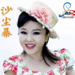 沙尘暴详情