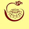 大勇 了凡因语 试听