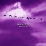 13辑 - Purple Wave详情