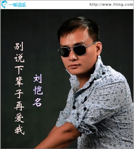 别说下辈子再爱我(单曲)