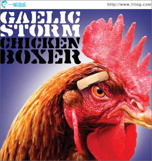 Chicken Boxer