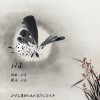 杂锦合辑7 千年情 试听