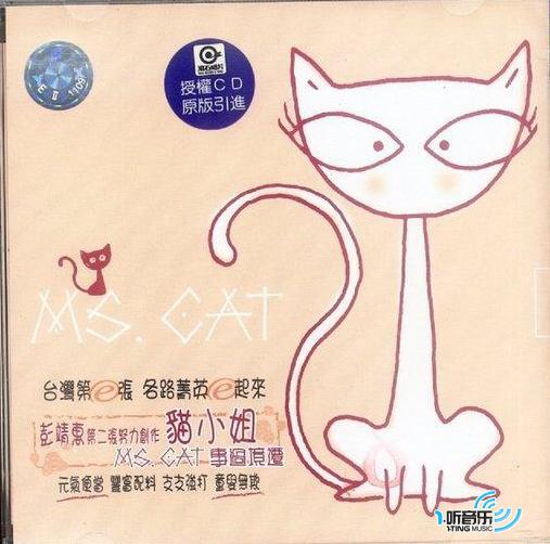 猫小姐