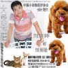 刘东桦 大爱无疆 试听