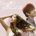 你懂的(单曲)