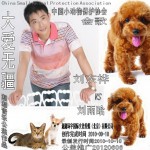 大爱无疆(单曲)详情