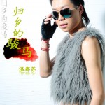 归乡的骏马(EP)详情