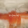 The Album Leaf Torey's Distraction 试听