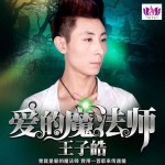 爱的魔法师(单曲)详情