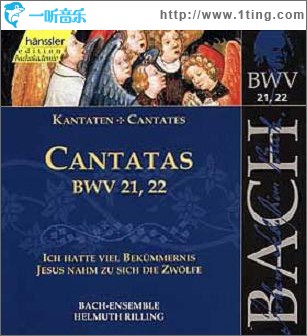Kantaten Vol.7 Bwv 21+22
