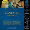 古典音乐 BWV 49 Ich geh und suche mit Verlangen, Sinfonia 试听