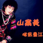山寨美(单曲)详情