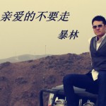亲爱的不要走(单曲)详情