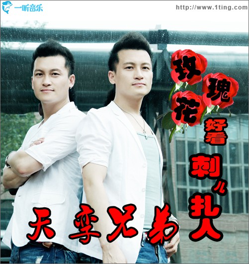 玫瑰花好看刺儿扎人(单曲)
