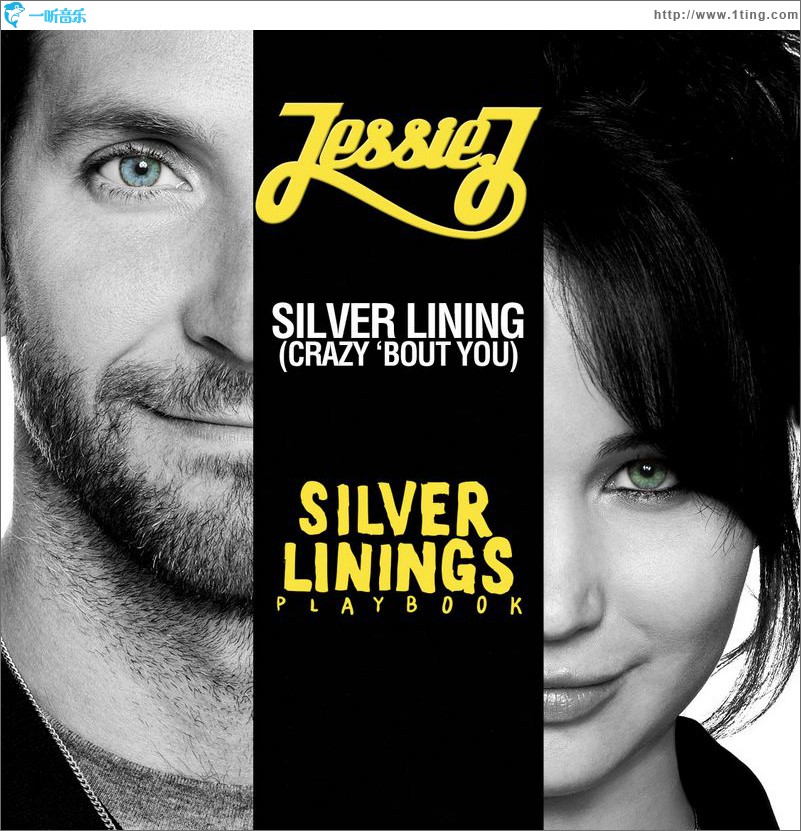 乌云背后的幸福线 The Silver Linings Playbook