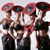 高原女人歌(单曲)