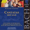 古典音乐 BWV 58; Aria con Choral (Coro S,B)- Ach Gott, wie manches Herzeleid 试听