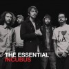 The Essential Incubus