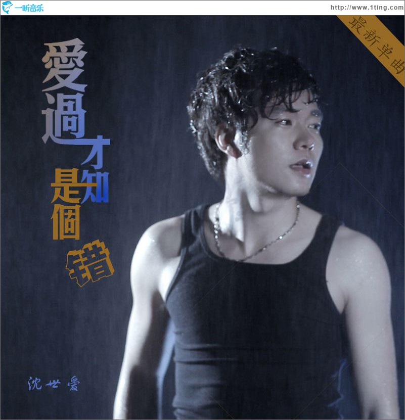 爱过才知是个错(单曲)