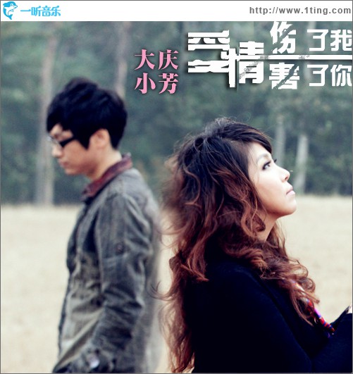 爱情伤了我害了你(单曲)