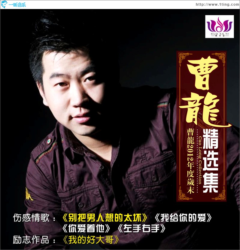 曹龙精选集