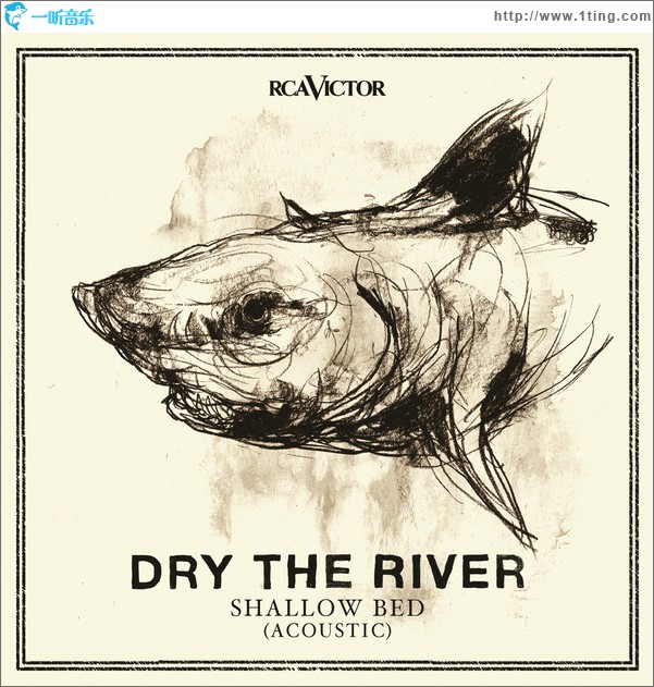Shallow Bed(Acoustic)