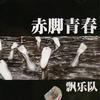 赤脚青春