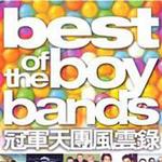 冠军天团风云录 Best Of The Boy Bands