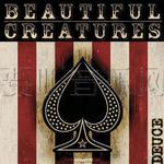 Beautiful Creatures详情