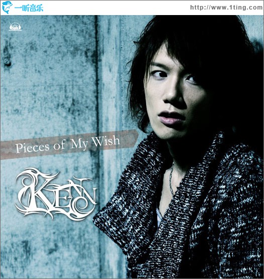 Pieces of My Wish (Single)