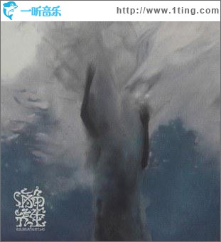 海龟先生